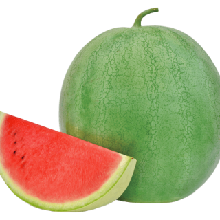 Lamiya LF-98-7231(2)